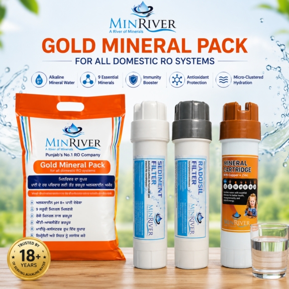 Gold Pack + pH & ORP testing Kit and Complete installation Accessories