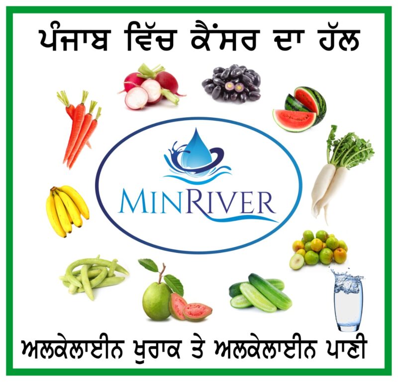 MinRiver Gold Mineral Pack - Image 3