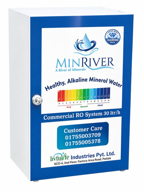 Commercial 30 LPH